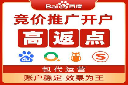 SEM竞价代运营公司成功案例分析